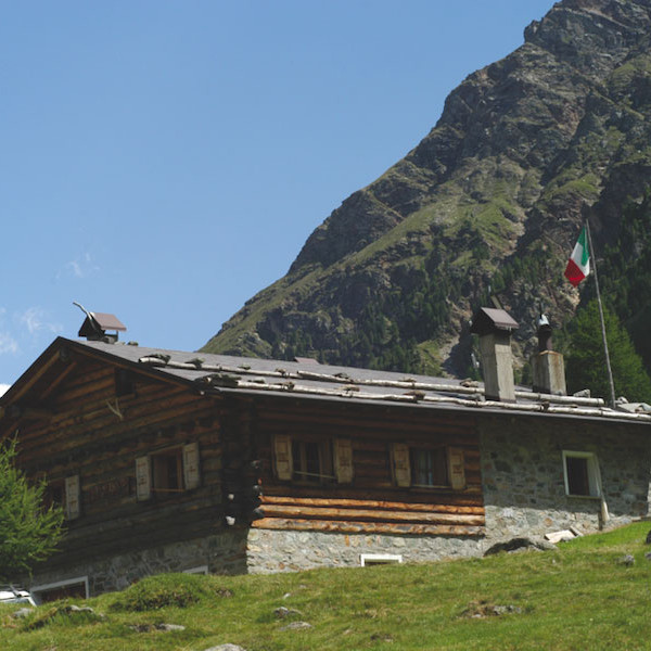 CAMPO CAMPO