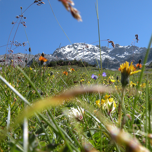 val_Zebru_rifugio_quinto_alpini