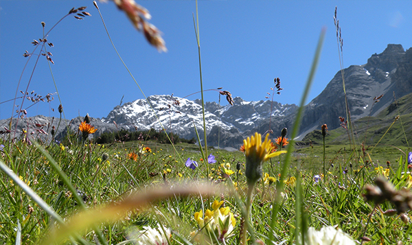 buono_regalo_terme_rifugio_therma